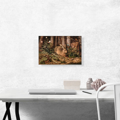 A Hare In The Forest 1585