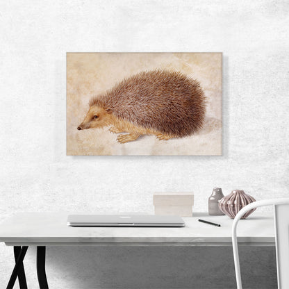 A Hedgehog 1584