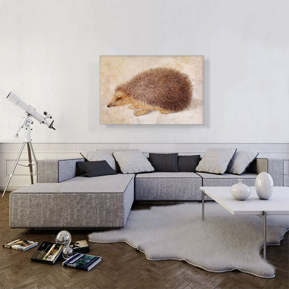 A Hedgehog 1584