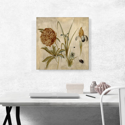 Flowers And Beetles 1582