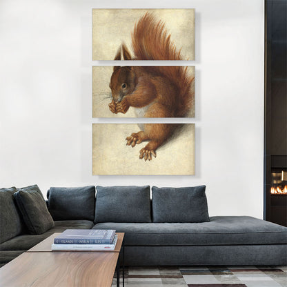 Red Squirrel 1578