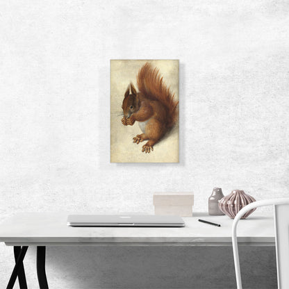 Red Squirrel 1578