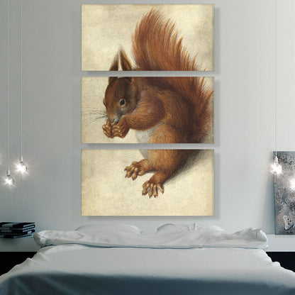 Red Squirrel 1578