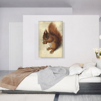 Red Squirrel 1578