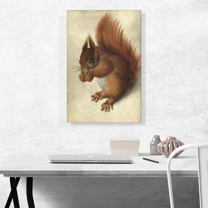 Red Squirrel 1578