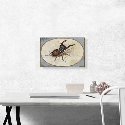 Stag Beetle 1574