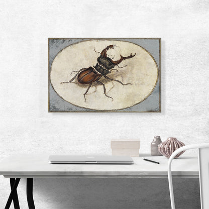 Stag Beetle 1574