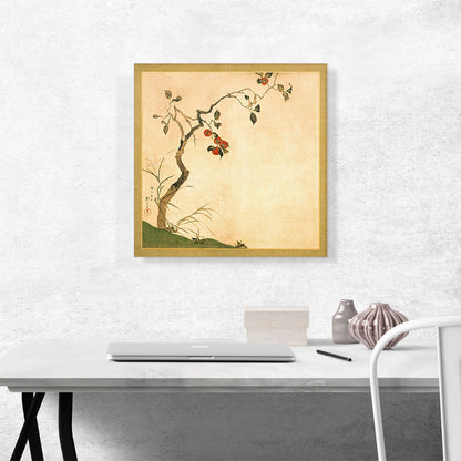 The Persimmon Tree