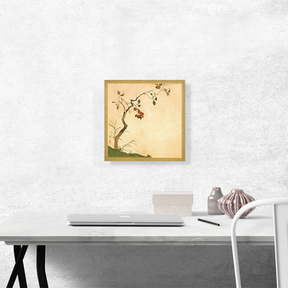 The Persimmon Tree
