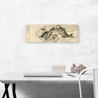 Picture of Koi Carp and Turtles 1813