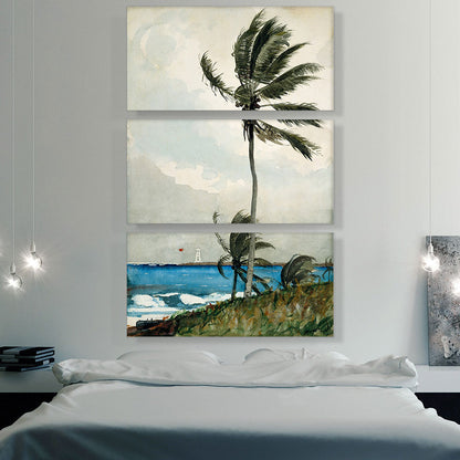 Palm Tree - Nassau 1898