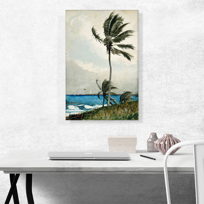 Palm Tree - Nassau 1898