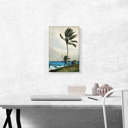 Palm Tree - Nassau 1898