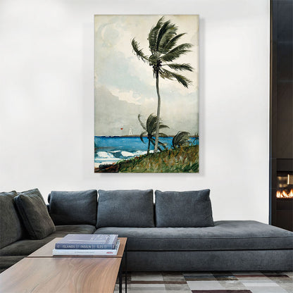 Palm Tree - Nassau 1898