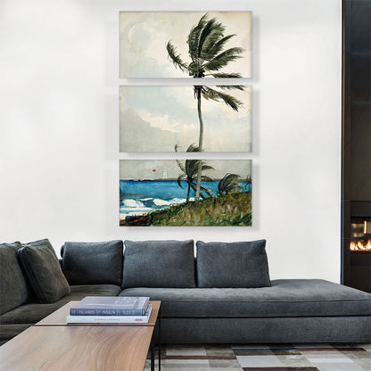 Palm Tree - Nassau 1898