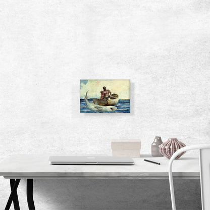 Shark Fishing 1885