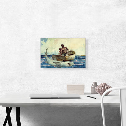 Shark Fishing 1885