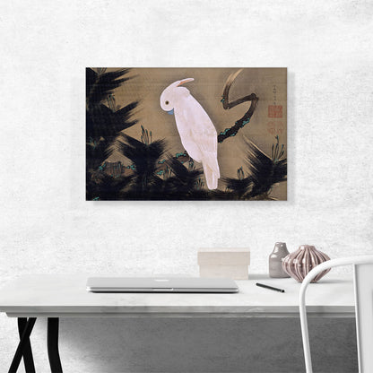 White Cockatoo on a Pine Branch