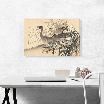 Two Geese Among Reeds 1892
