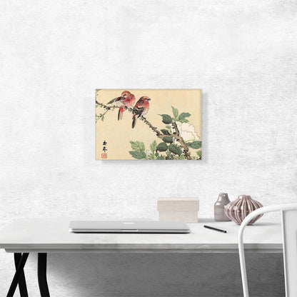 Illustration Of Two Red Birds And White Flower 1892
