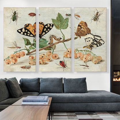 Insects And Fruit