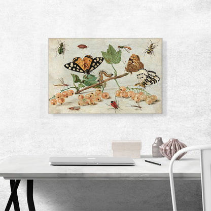 Insects And Fruit