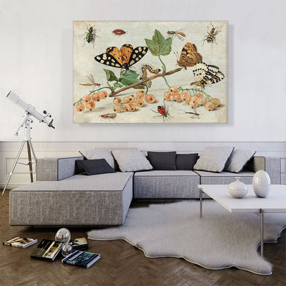 Insects And Fruit