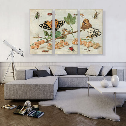 Insects And Fruit
