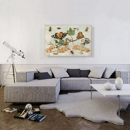 Insects And Fruit