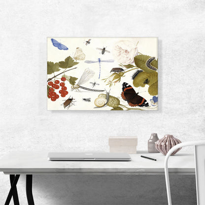 Still Life Of Insects With Fruit And Flowers