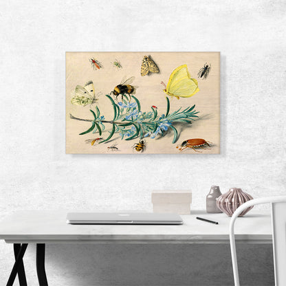 Still Life Study Insects On a Spring Of Rosemary Butterflies Bumble Bee1653