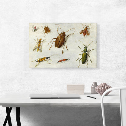 Study Of Insects