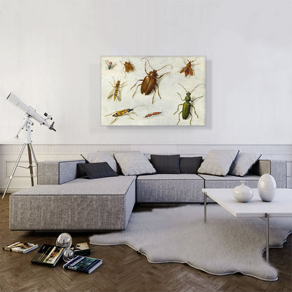 Study Of Insects