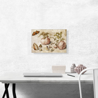 Trompe l'oeil Still Life