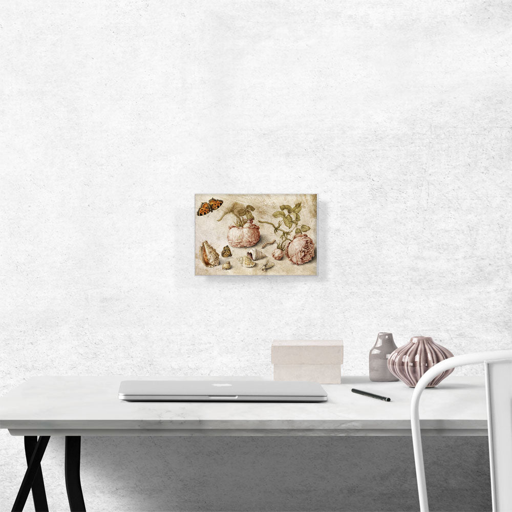 Trompe l'oeil Still Life