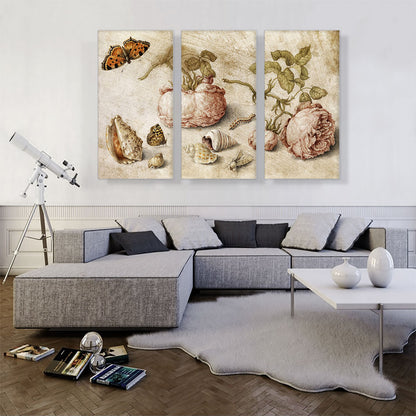 Trompe l'oeil Still Life