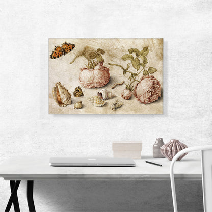 Trompe l'oeil Still Life