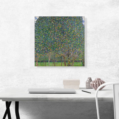 Pear Tree 1903