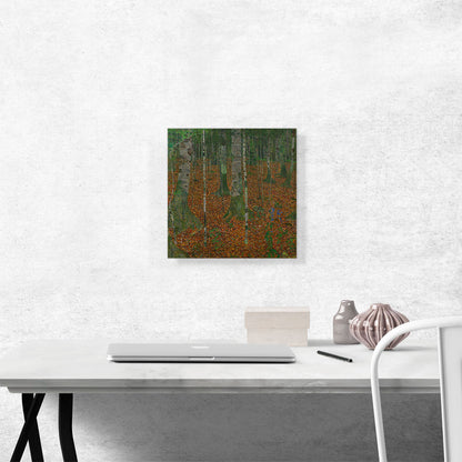 Birch Forest 1903
