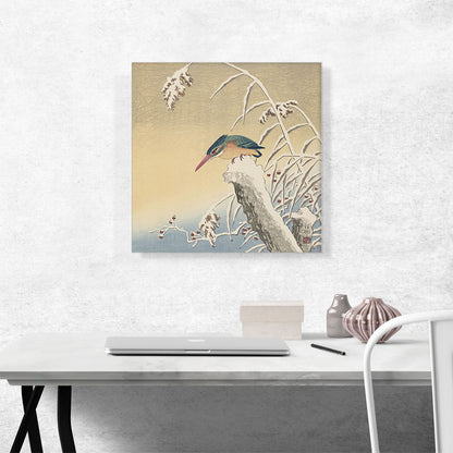 Kingfisher