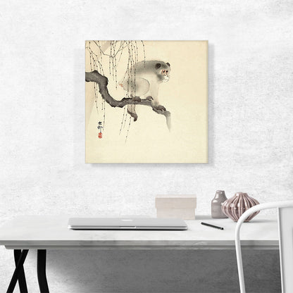 Monkey on a Branch