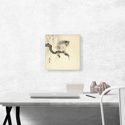 Monkey on a Branch