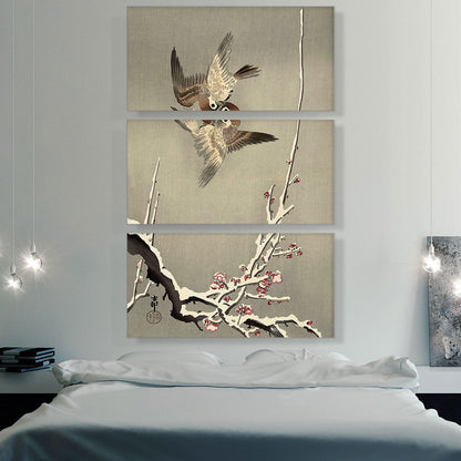 Sparrows Fighting