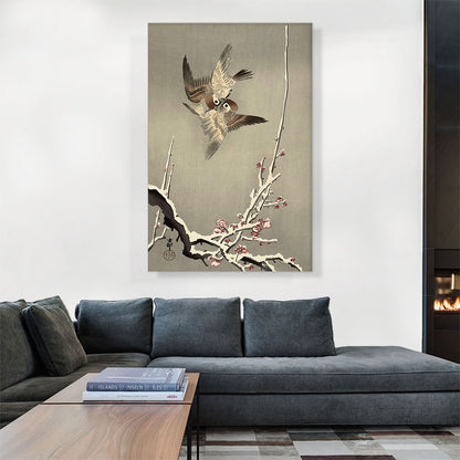 Sparrows Fighting