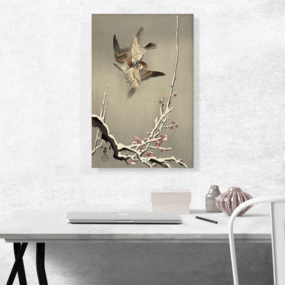 Sparrows Fighting