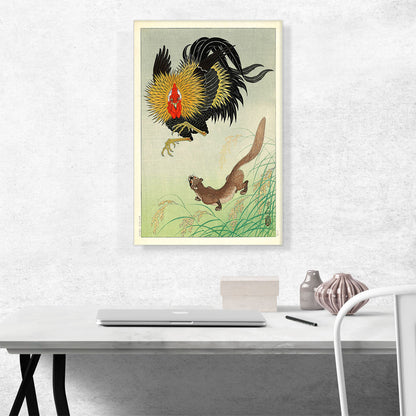 A Rooster and Weasel in a Barley Field