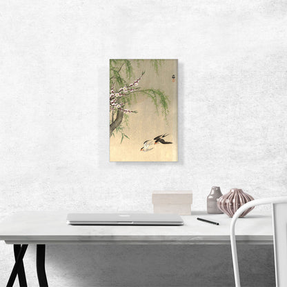Two Barn Swallows in Flight With Willow Branch and Flowering Cherry