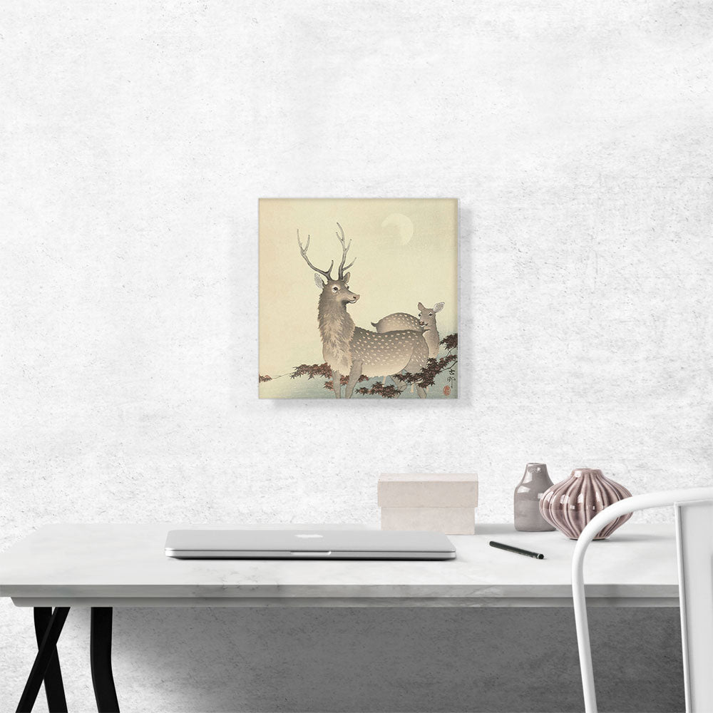 Two Deer With Moon