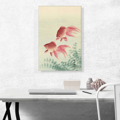 Two Gold Fish