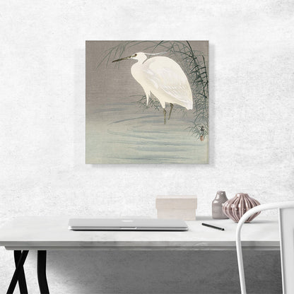 Wading Egret